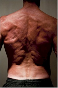 Develop a powerful back that shows you are a serious athlete